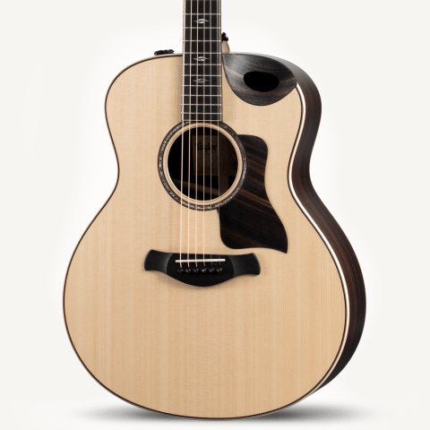 Taylor 816ce-LTD | Sweetwater